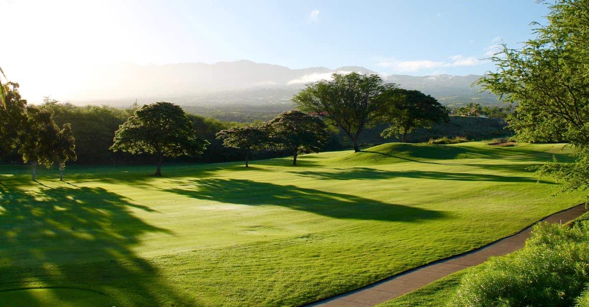 découvrez tout ce que vous devez savoir sur le golf : règles, équipements, astuces et conseils pour améliorer votre jeu, sur [votre site].