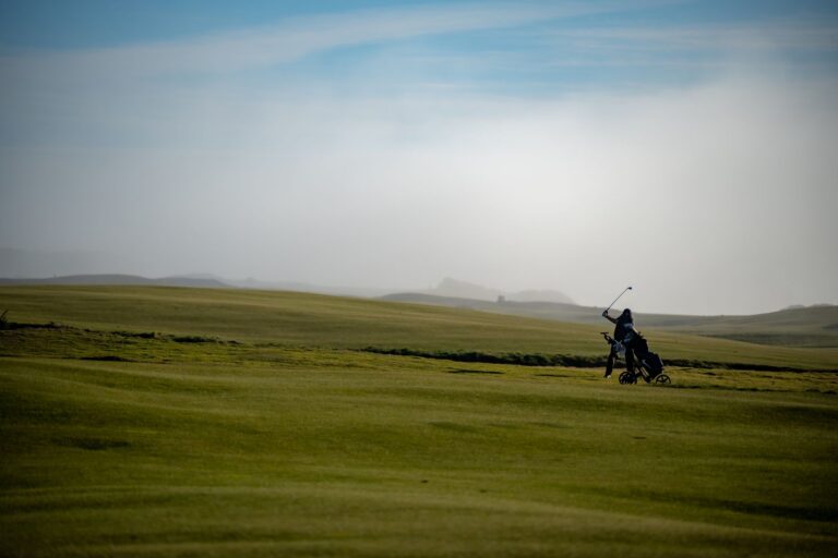 Quels sont les golfeurs qui ont marqué les esprits avec leurs coups exceptionnels ?