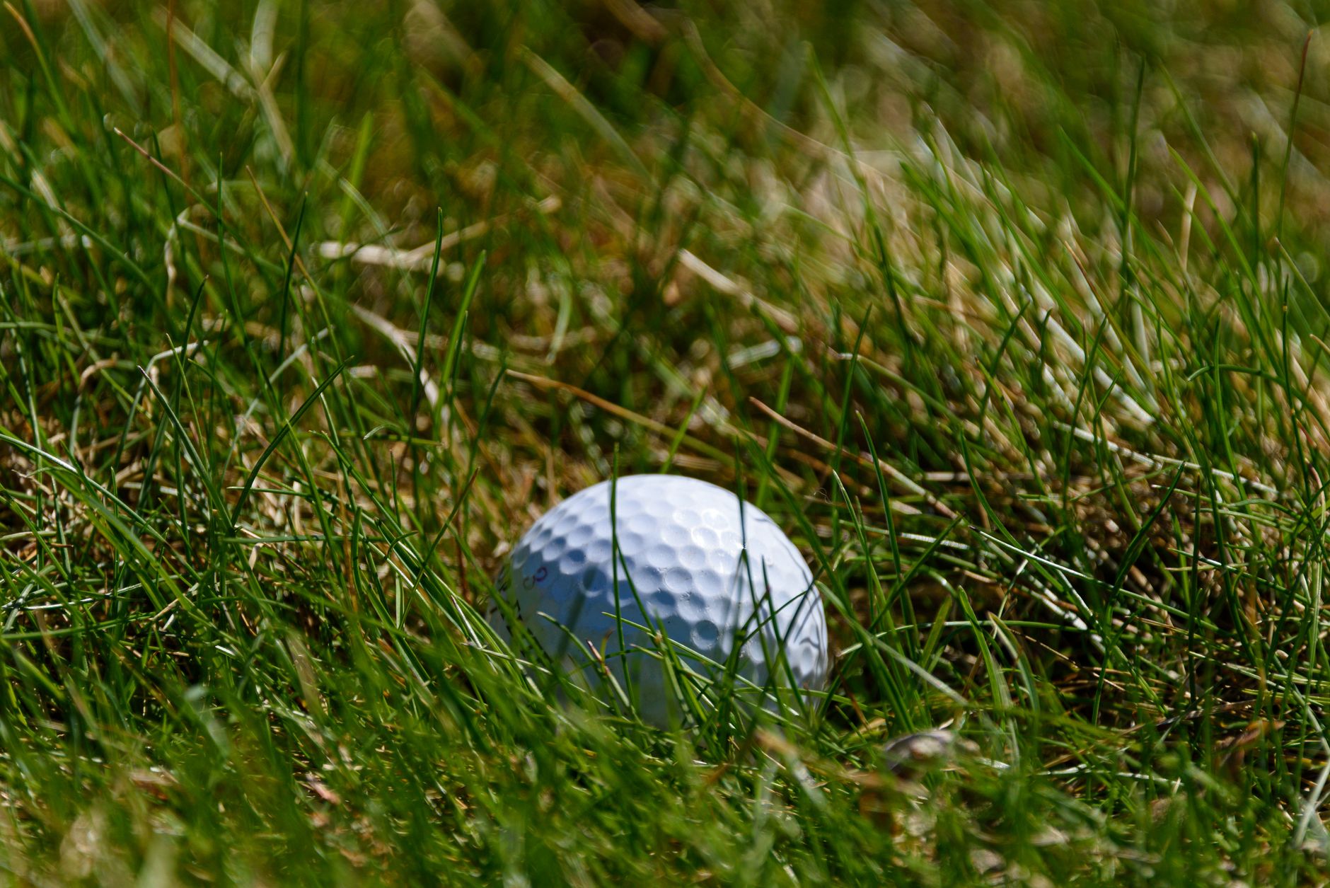 Quels sont les défis extraordinaires relevés par les golfeurs ?