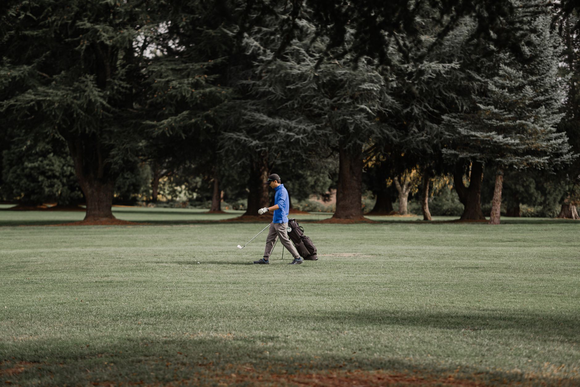 Un golfeur en polo bleu marche sur un fairway avec un club à la main, son sac derrière lui, devant de grands arbres.