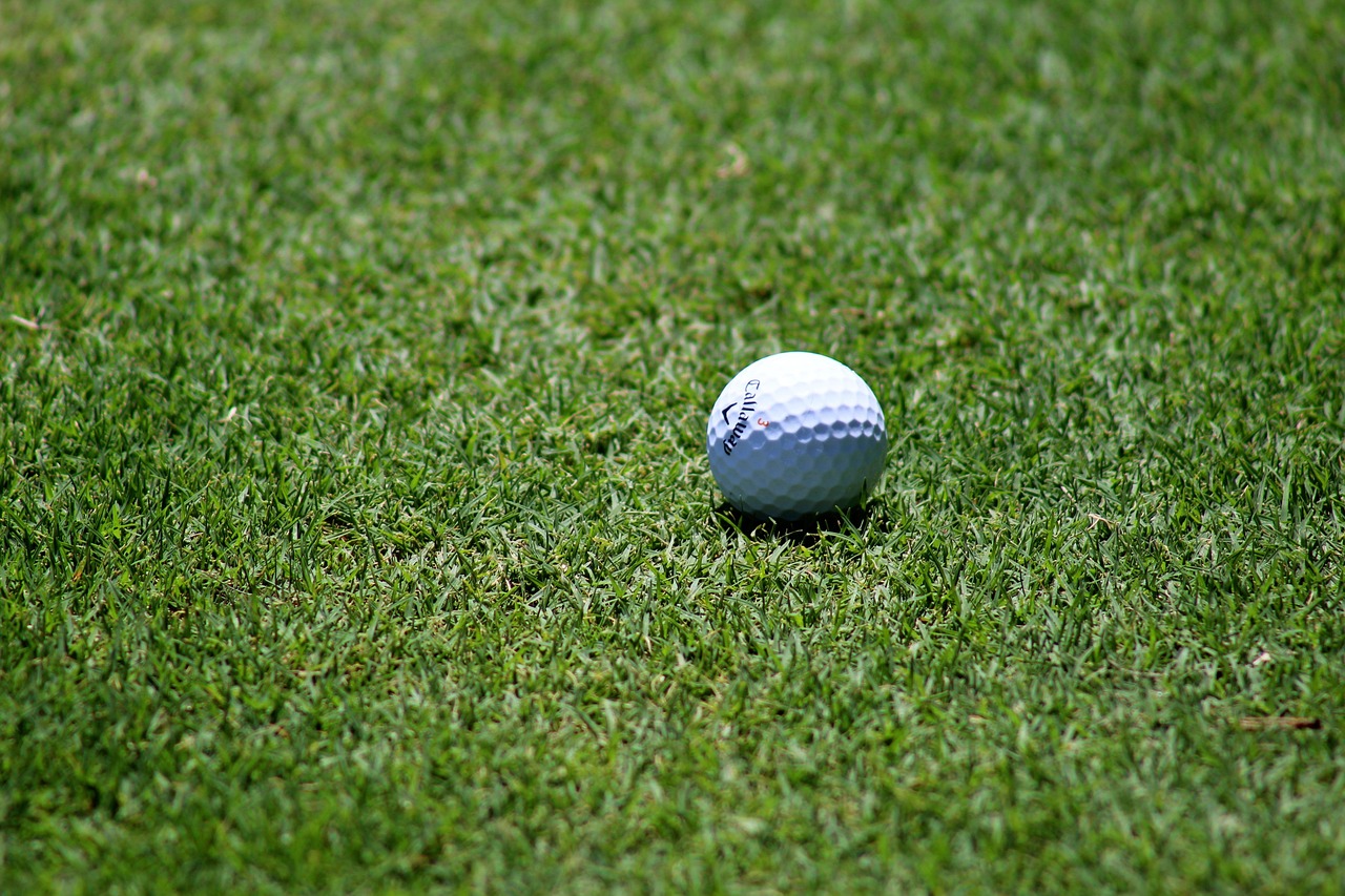 Une balle de golf blanche posée sur un gazon ras et net